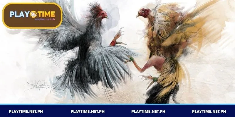 Matalinong pagpili ng manok base sa porma