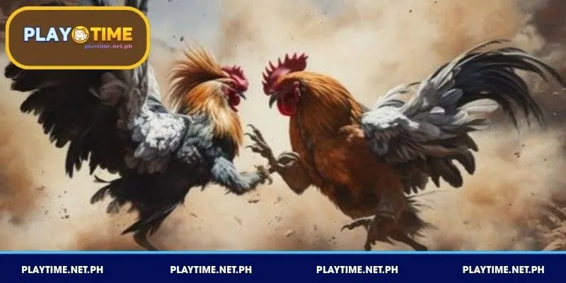 Sabong PLAYTIME para sa pinakamabilis na live streaming sa bansa