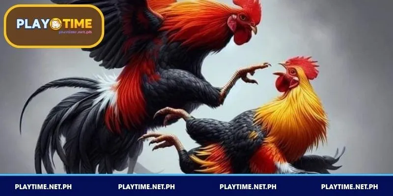 Welcome bonus para sa mga bagong miyembro ng platform